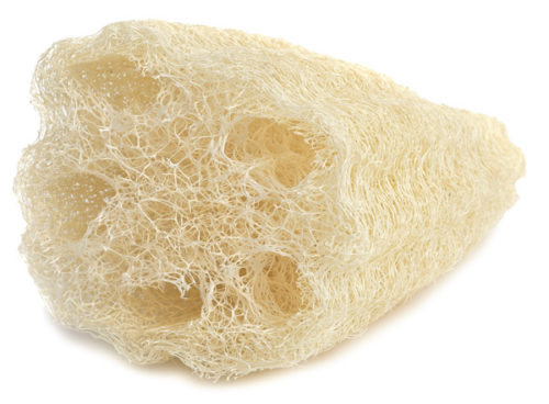 Loofah Sponge – Rain Medi Spa & Salon